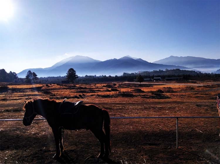 redmi-3-camera-sample-2