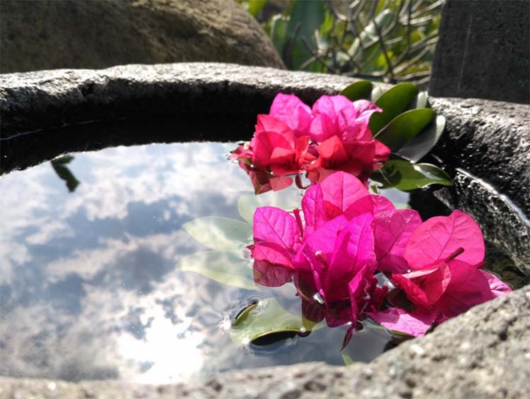 redmi-3-camera-sample-5