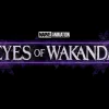 Eyes of Wakanda