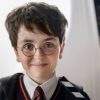 Harry Potter Dizisi