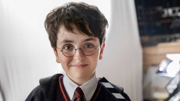 Harry Potter Dizisi